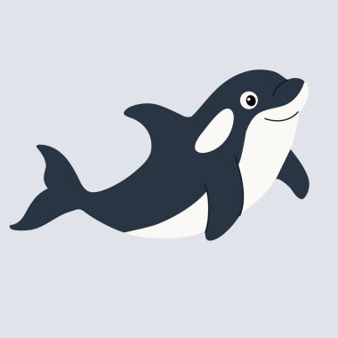 Tatlı çizgi film katil balinası. Çocuk tarzında düz vektör çizimi. Katil balinanın vektör çizimi.