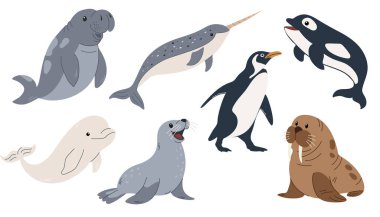 Bir grup deniz hayvanı. Su hayvanları seti. Okyanus memelileri orka, mors, deniz aslanı, fok, penguen, köpekbalığı, balina, yunus, deniz gergedanı, beluga. Vektör illüstrasyonu.