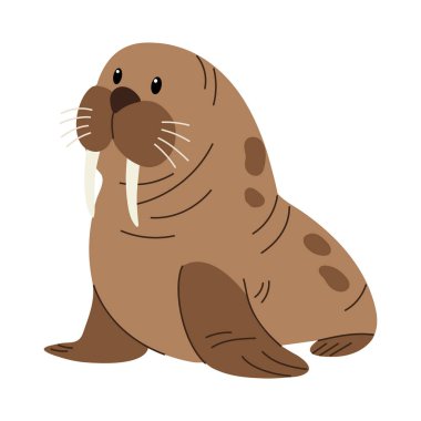 Beyaz arka planda bir morsun vektör çizimi. Vahşi hayvan..