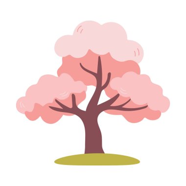 Beyaz arka planda izole edilmiş güzel pembe kiraz ağacı. İlkbahar için vektör botanik element. Pembe çiçek açan ağaç. Kiraz ya da sakura ağacı . 