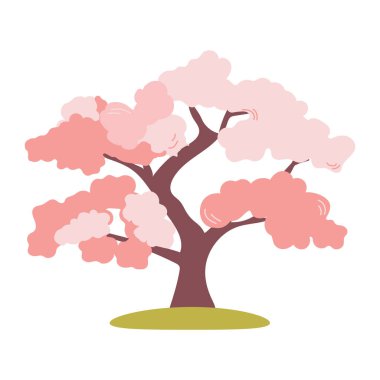 Beyaz arka planda izole edilmiş güzel pembe kiraz ağacı. İlkbahar için vektör botanik element. Pembe çiçek açan ağaç. Kiraz ya da sakura ağacı . 