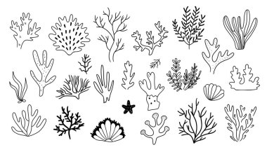 El yosunları, mercanlar. Deniz hayatı karalama seti. Deniz hayatı unsurları. Vektör illüstrasyonu beyaz arkaplanda izole edildi.