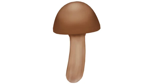 Cartoon Illustration Mushroom Cogumelo Estrutura Reprodutiva Produzida Por Alguns Fungos — Fotografia de Stock
