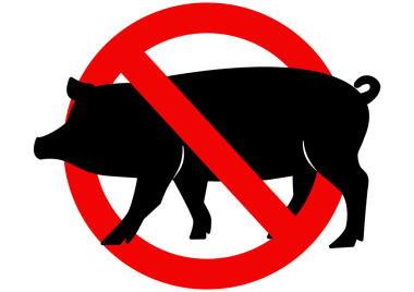 İslami Eğitim İçin Domuz Etiketi Yok