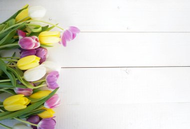 Beyaz ahşap zemin üzerinde sarı, pembe ve mor laleler.