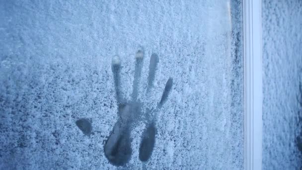 Отпечаток Руки Замороженном Окне Естественный Зимний Фон — стоковое видео
