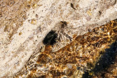 Cala Sapone plajındaki volkanik kayaların alışılmadık oluşumları, kuvars-trakhitik alevler.