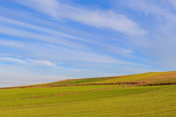 Bulutlu Mavi Gökyüzüne Karşı Çayır Tepelerin Manzarası — Stok fotoğraf