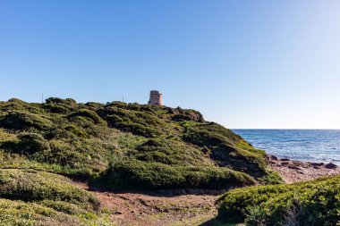 Torre Vecchia, San Giovanni di Sinnis, Oristano, Sardegna, İtalya