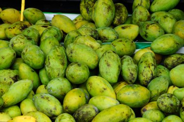 Çiftçiler tarafından toplanan hasat olgun Mango yığını. 