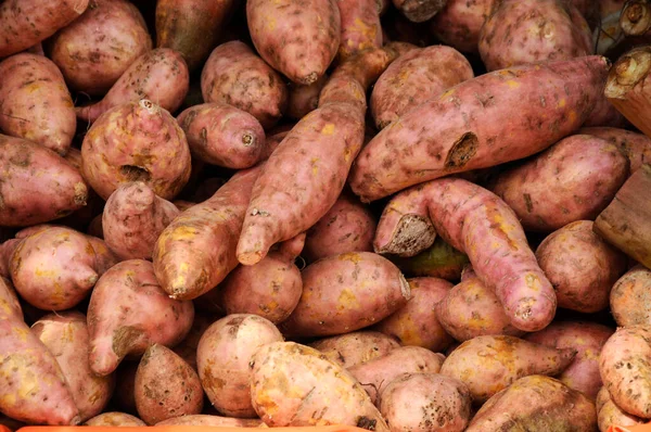 Sweet potatoes corms. Sweet potato also known as Ipomoea batatas as its scientific name. Always used by Asia people as ingredient in their cook and traditional cakes.