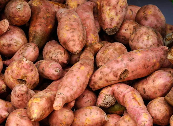 Sweet potatoes corms. Sweet potato also known as Ipomoea batatas as its scientific name. Always used by Asia people as ingredient in their cook and traditional cakes.