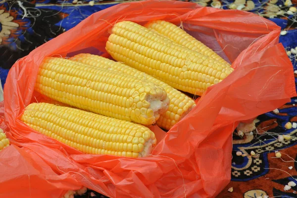 Kukuřice Zabalená Červeném Igelitovém Sáčku — Stock fotografie