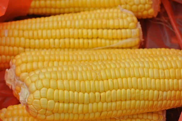 Kukuřice Zabalená Červeném Igelitovém Sáčku — Stock fotografie