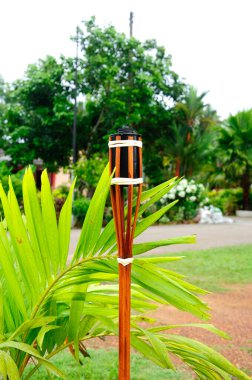 Bambu Meşaleleri veya Malezya geleneksel gaz lambası 