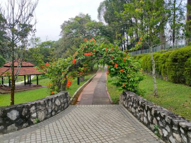 KUALA LUMPUR, MALAYSIA -JULY 6, 2022: Pedestrian path in a public park. Providing comfort for the public to stroll or have fun in the public park. Comfortable and spacious.