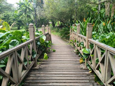 KUALA LUMPUR, MALAYSIA -JULY 6, 2022: Pedestrian path in a public park. Providing comfort for the public to stroll or have fun in the public park. Comfortable and spacious.