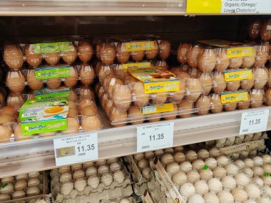 SEREMBAN, MALAYSIA -MARCH 8, 2022: Fresh chicken eggs in a pallet container, for sale in a supermarket. Sort by grade and size.