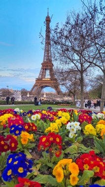 Paris 'te romantik bir bahar sahnesi: Arkasında Eyfel Kulesi olan Jardins du Trocadro' da renkli çiçeklerden oluşan canlı bir yatak