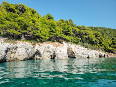 Yunanistan 'ın Hersek Adasındaki Kastani Sahili' nin çamlarla kaplı uçurumları boyunca uzanan büyüleyici turkuaz su ve deniz mağaraları.