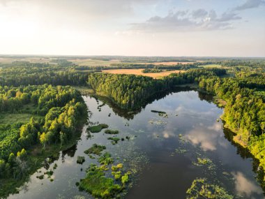 Letonya kırsalındaki bir göl ve ormanın sıcak, altın saat gün batımında güzel bir hava aracı görüntüsü..