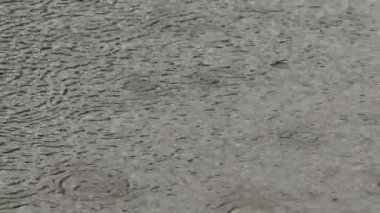 Sonbahar, su yüzeyinde yağmur damlaları