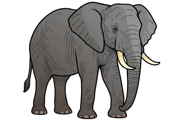 karikatür afrikalı fil resmi