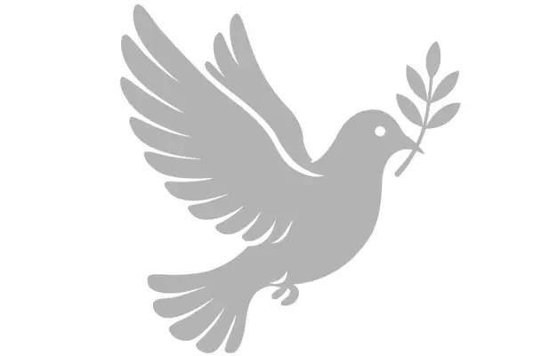 Güvercin simgesi, gri vektör çizimi