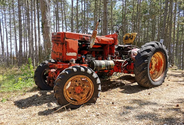 Nagyon Öreg Traktor Erdőben Vörös Traktor Jogdíjmentes Stock Fotók