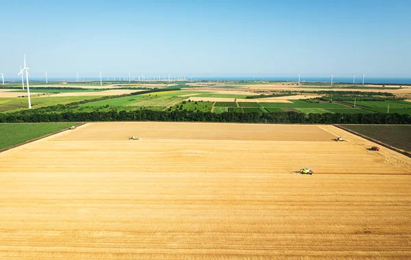 Aerial Drone View Kombinálni Aratók Dolgozó Búza Területen Naplementekor Szüretelőgép — Stock Fotó