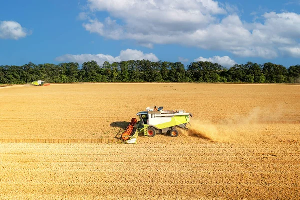 Combine Harvester Action Wheat Field Drone Shoot — Stock Photo, Image