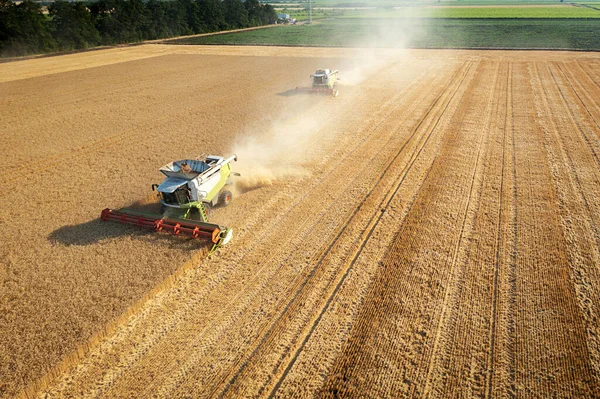 Combine Harvester Action Wheat Field — Stock Photo, Image