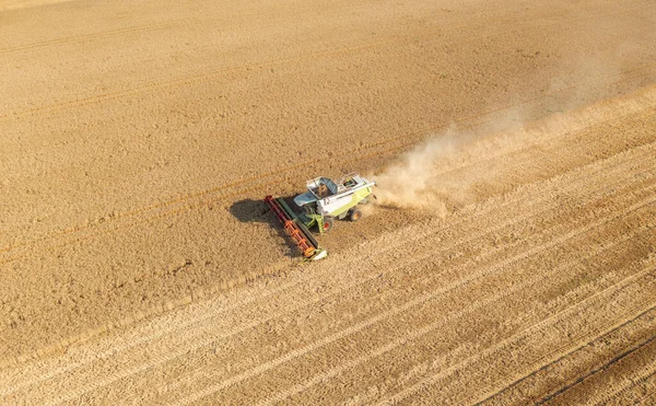공중에서 드론으로본 밭에서 수확하는 사람들이 일하는 로열티 프리 스톡 사진