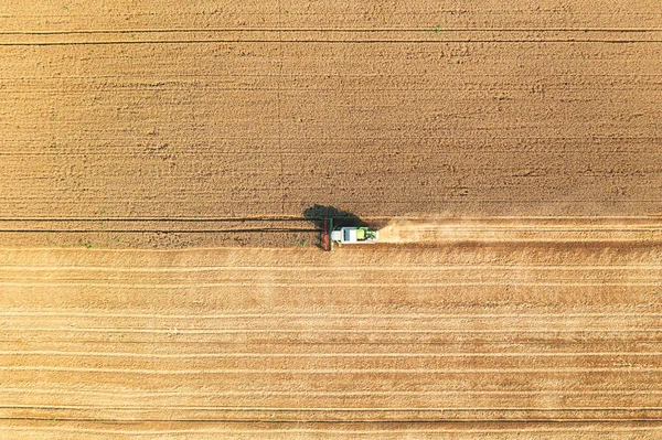 들에서 곡식을 수확하는 무리의 스톡 사진