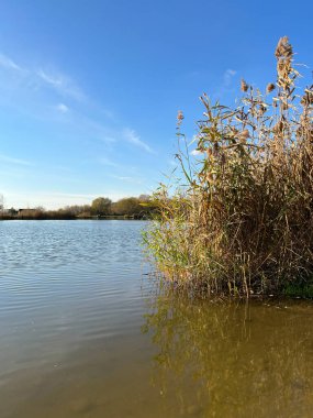 Güz havası, göl ve ormanla mükemmel güneşli havada.
