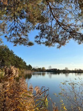 Güz havası, göl ve ormanla mükemmel güneşli havada.