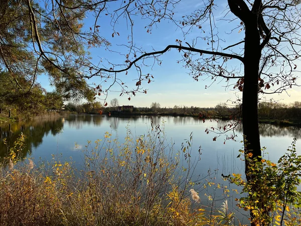 stock image Autumn mood landscape with lake and forest in the perfect sunny weather