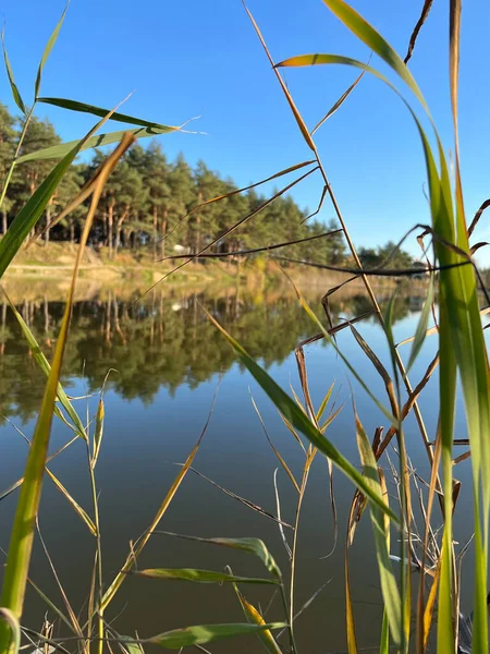 Paisaje Otoño Con Lago Bosque Clima Soleado Perfecto — Foto de Stock
