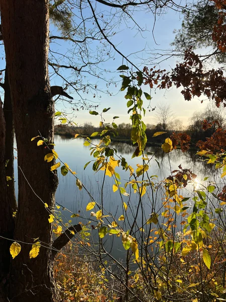 Autumn Mood Landscape Lake Forest Perfect Sunny Weather — Stock Photo, Image