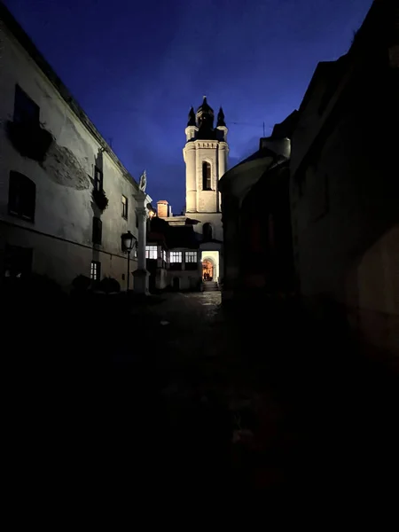 Paysage Urbain Nocturne Parfait Ville Lviv Ukraine Automne — Photo