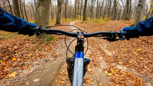 Sonbahar Mevsiminde Orman Yollarında Bisiklet Sürmeye Dayanır — Stok fotoğraf
