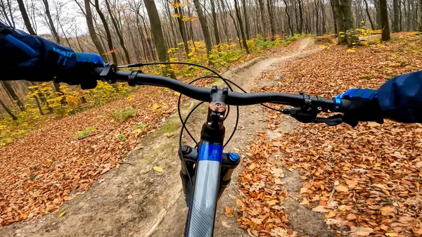 Ποδήλατο Enduro Στα Μονοπάτια Του Δάσους Κατά Την Φθινοπωρινή Περίοδο — Φωτογραφία Αρχείου