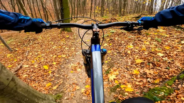Прогулка Велосипеде Эндуро Лесным Тропам Осенью — стоковое фото