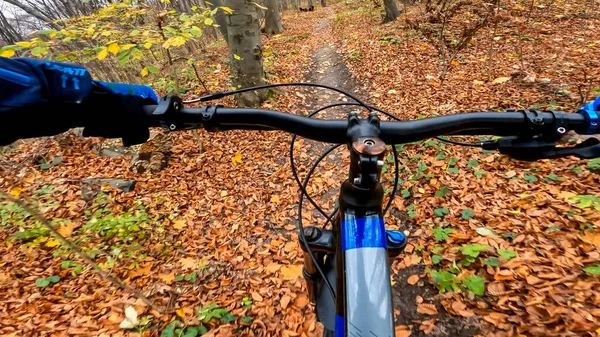 Przejażdżka Rowerem Enduro Leśnych Ścieżkach Jesienią — Zdjęcie stockowe