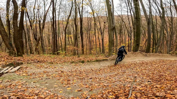 Велосипедна Прогулянка Ендуро Лісових Стежках Осінній Сезон — стокове фото