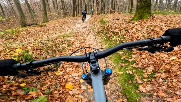 Sonbahar Mevsiminde Orman Yollarında Bisiklet Sürmeye Dayanır — Stok fotoğraf