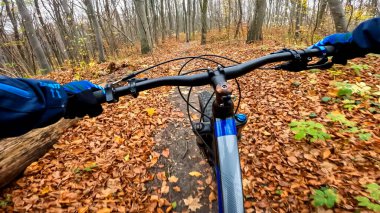 Sonbahar mevsiminde orman yollarında bisiklet sürmeye dayanır.