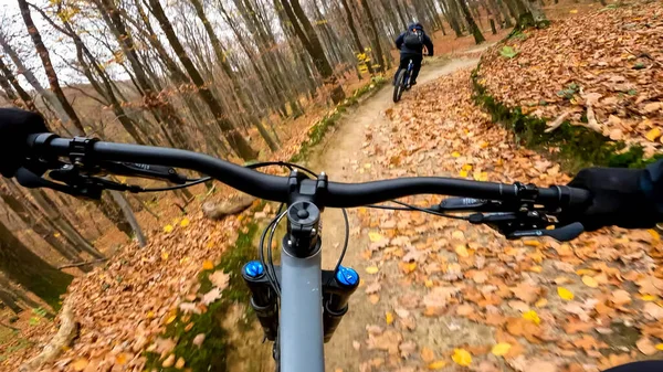 Ποδήλατο Enduro Στα Μονοπάτια Του Δάσους Κατά Την Φθινοπωρινή Περίοδο — Φωτογραφία Αρχείου