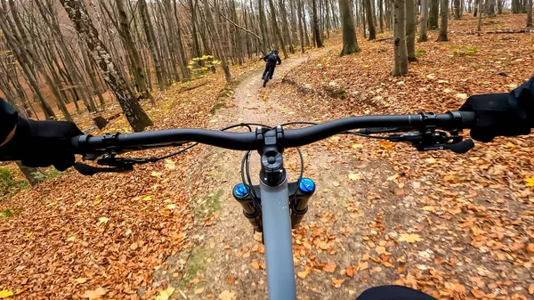Passeio Bicicleta Enduro Nas Trilhas Floresta Temporada Outono — Fotografia de Stock