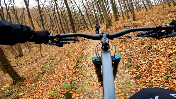 秋の森のトレイルでエンデューロ自転車に乗る — ストック写真